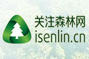 關(guān)注森林